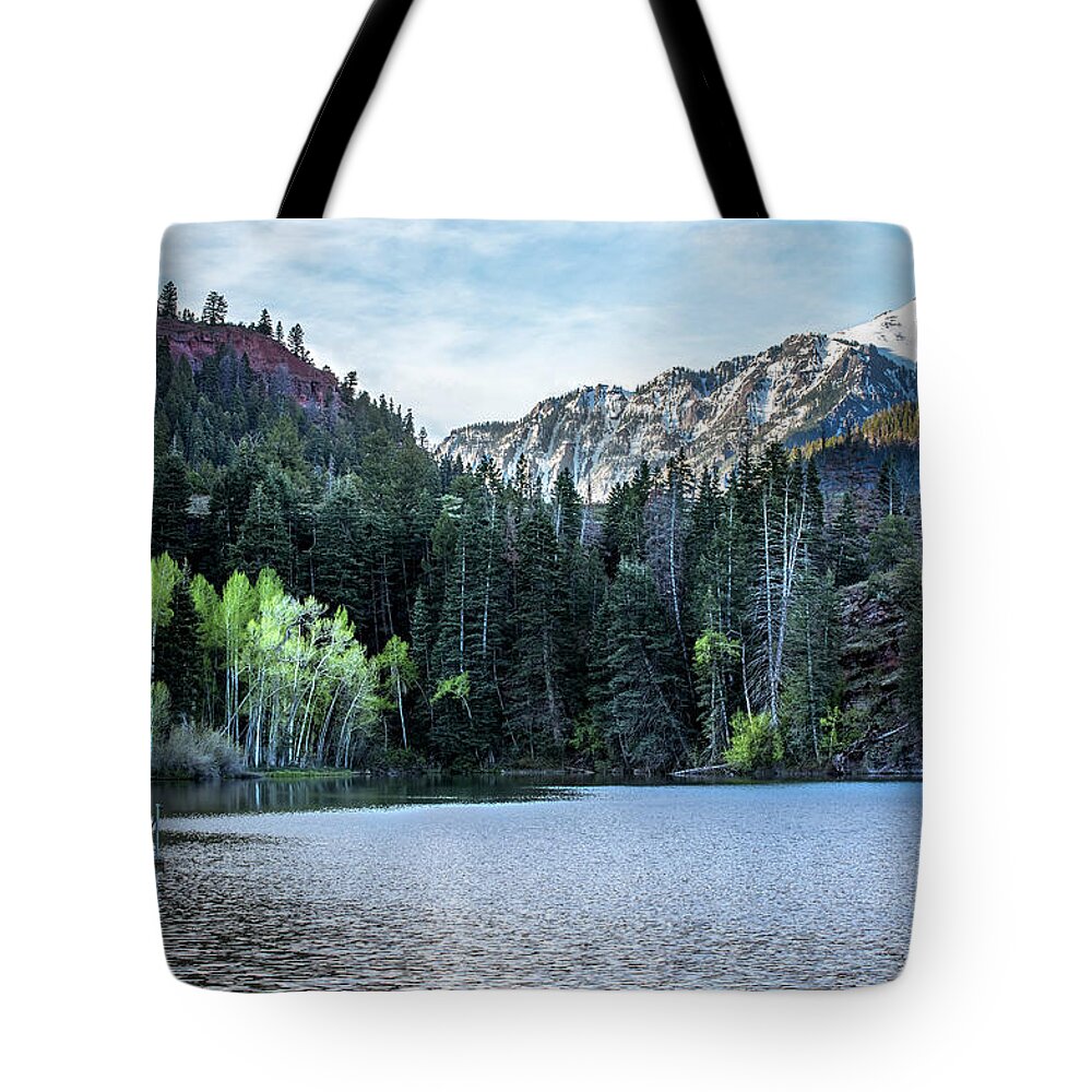 Spring Tote Bag featuring the photograph Spring Green by Angela Moyer
