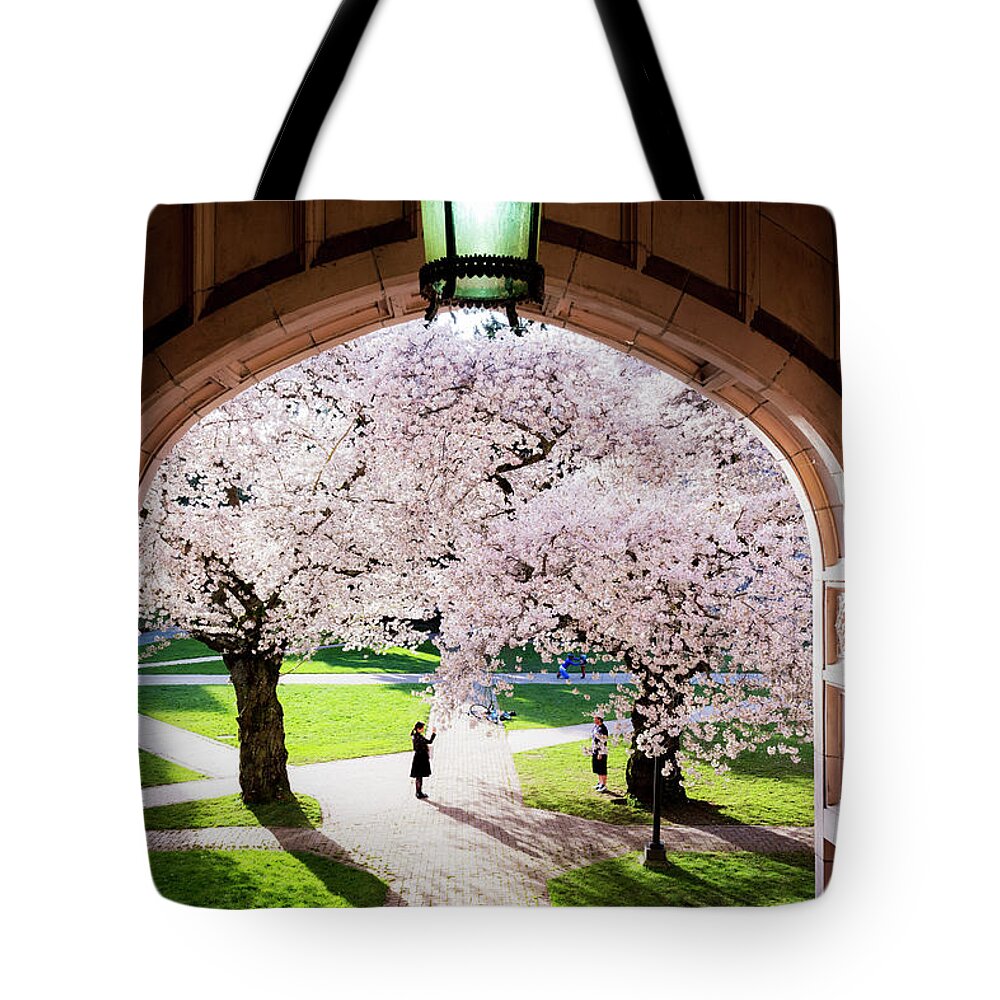 Cherry Blossoms Tote Bag featuring the photograph Spring Has Come by Yoshiki Nakamura