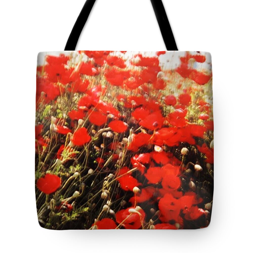 Spring Picture Flowers Red Flowers Flower Tote Bag featuring the photograph Spring in earth. by Shlomo Zangilevitch