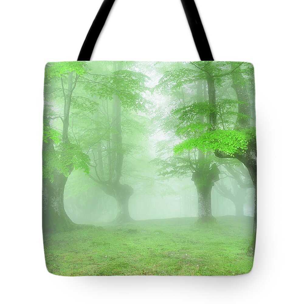Forest Tote Bag featuring the photograph Spring in the forest by Mikel Martinez de Osaba
