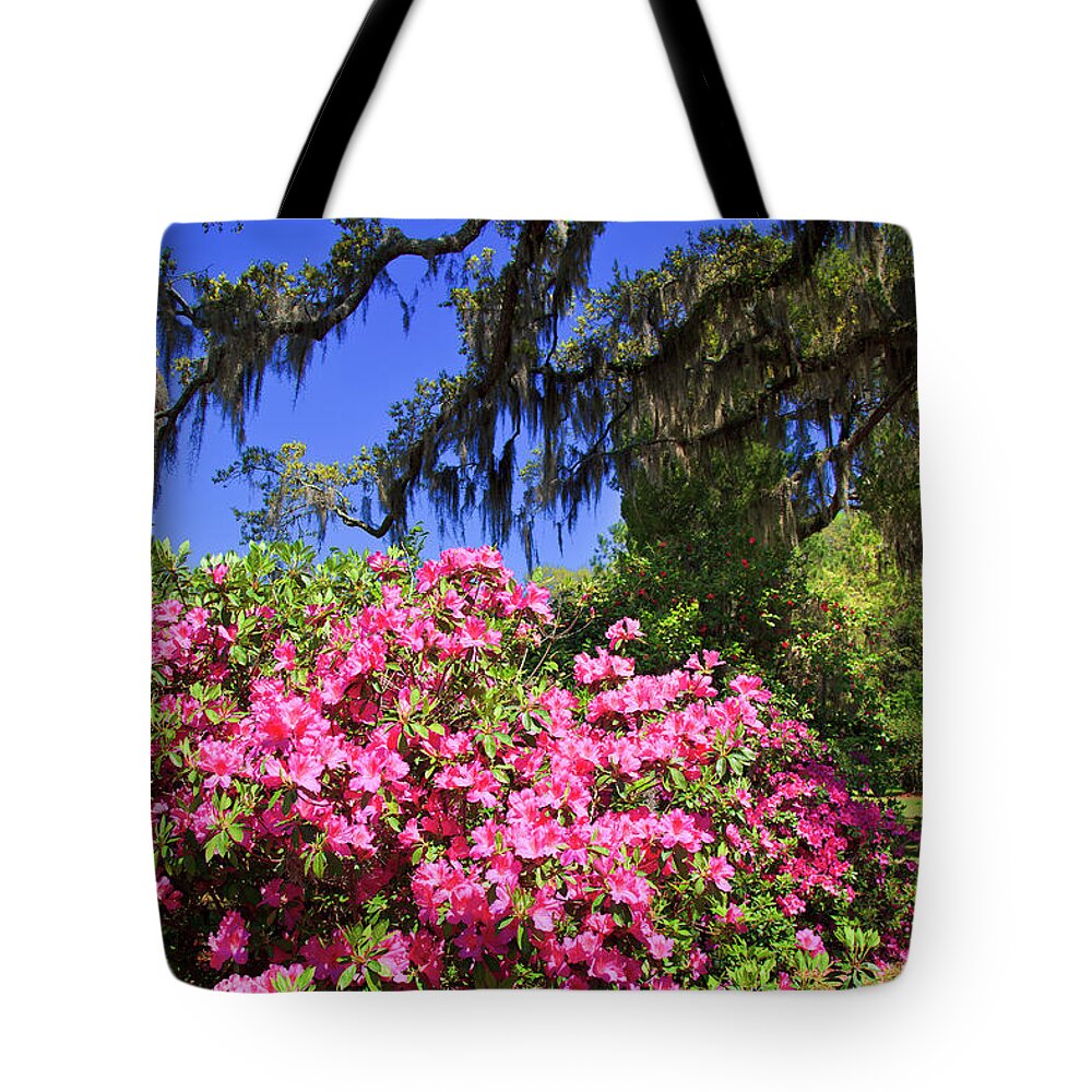 Pink Tote Bag featuring the photograph Spring in the South by Jill Lang