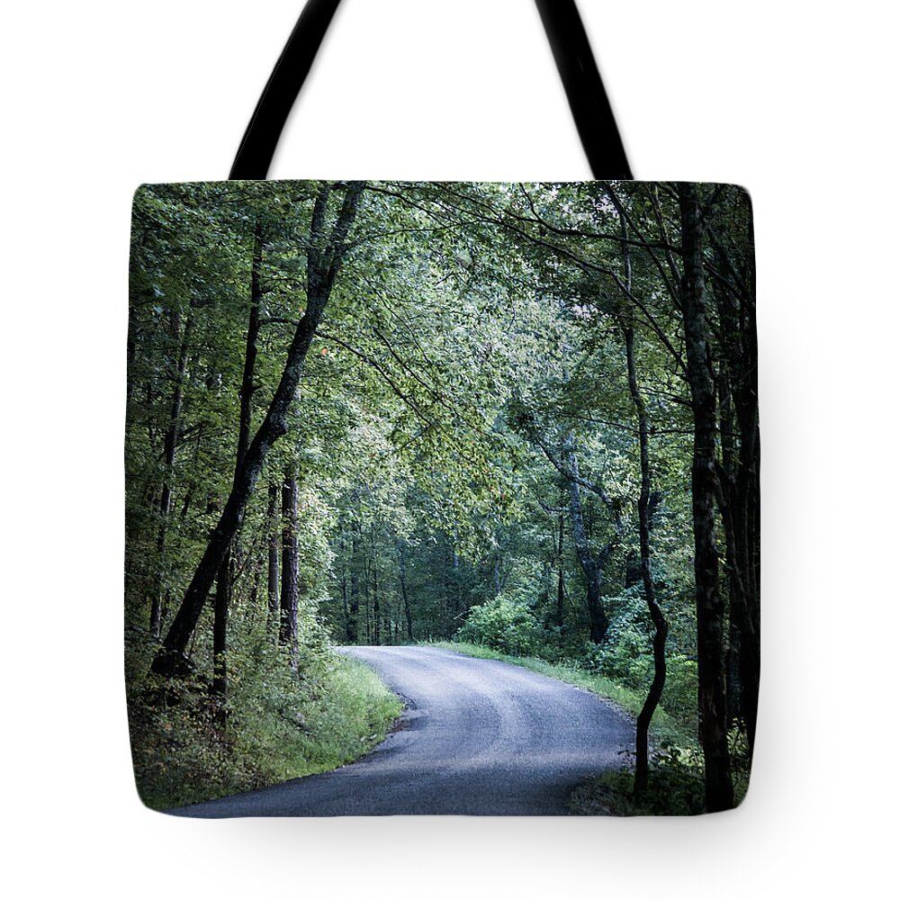 Oak Mountain Tote Bag featuring the photograph Spring Light on a Forest Road by Parker Cunningham