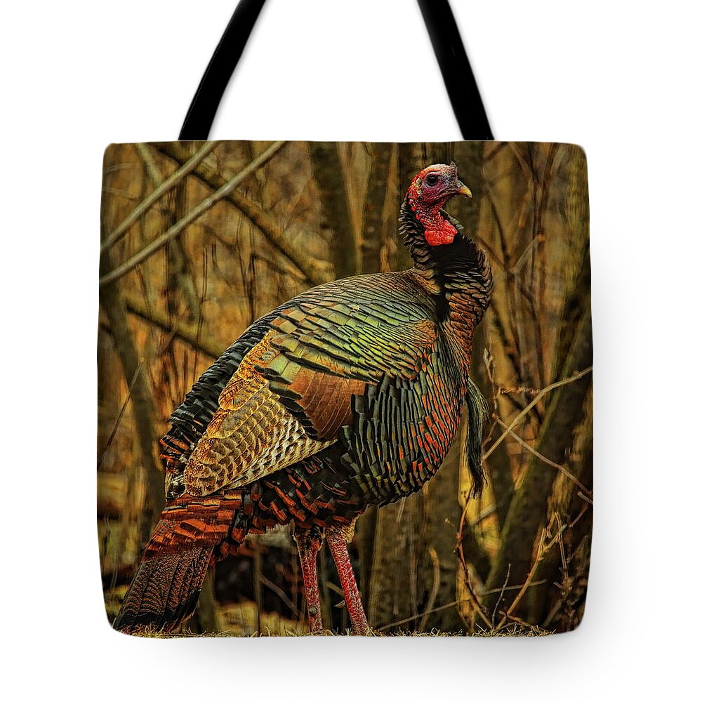 Wild Turkey Tote Bag featuring the photograph Spring Longbeard by Dale Kauzlaric