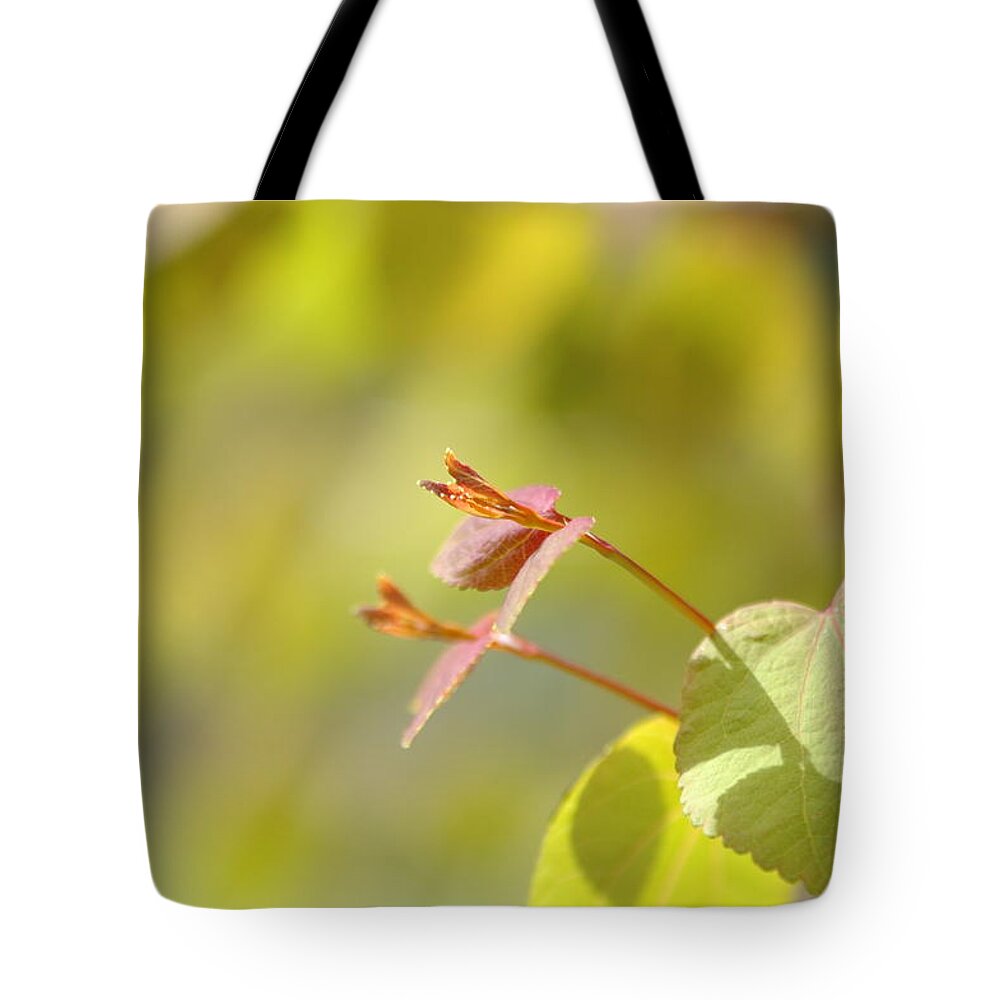 Spring Tote Bag featuring the photograph Spring macro2 by Jeff Burgess