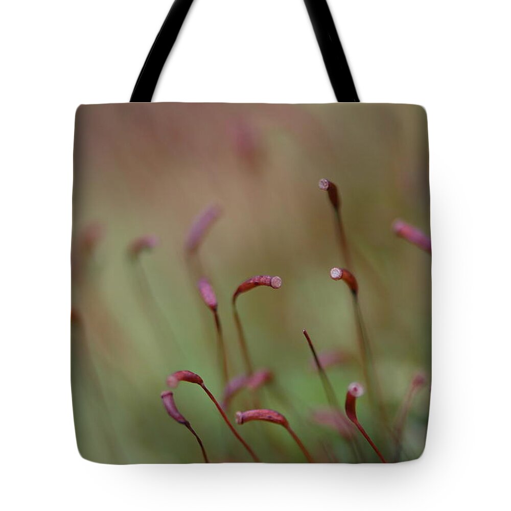 Spring Tote Bag featuring the photograph Spring Macro5 by Jeff Burgess