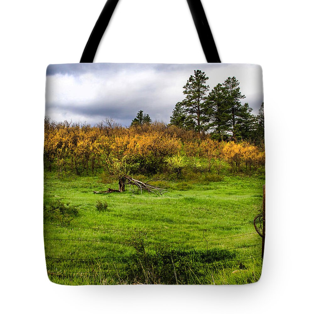 Colorado Tote Bag featuring the photograph Spring Meadow by Juli Ellen