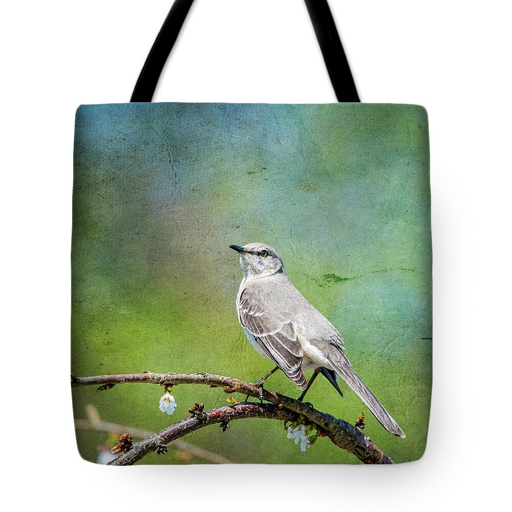 Bird Tote Bag featuring the photograph Spring Mockingbird by Cathy Kovarik
