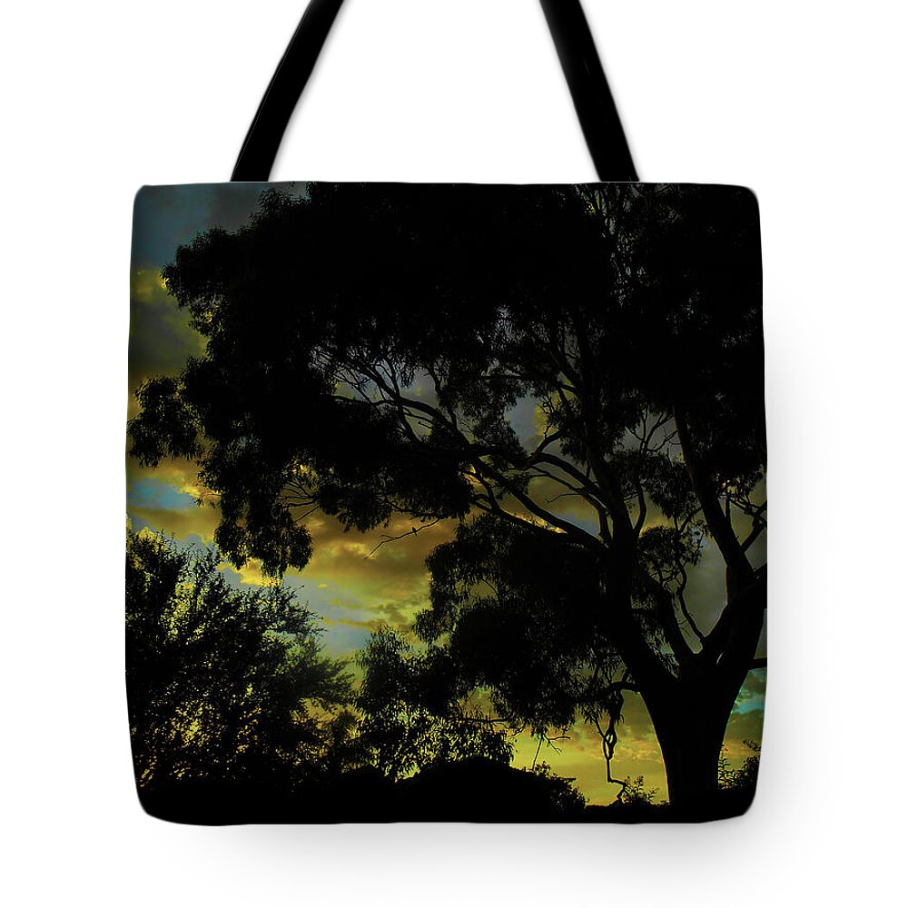 Sunrise Tote Bag featuring the photograph Spring Morning by Mark Blauhoefer