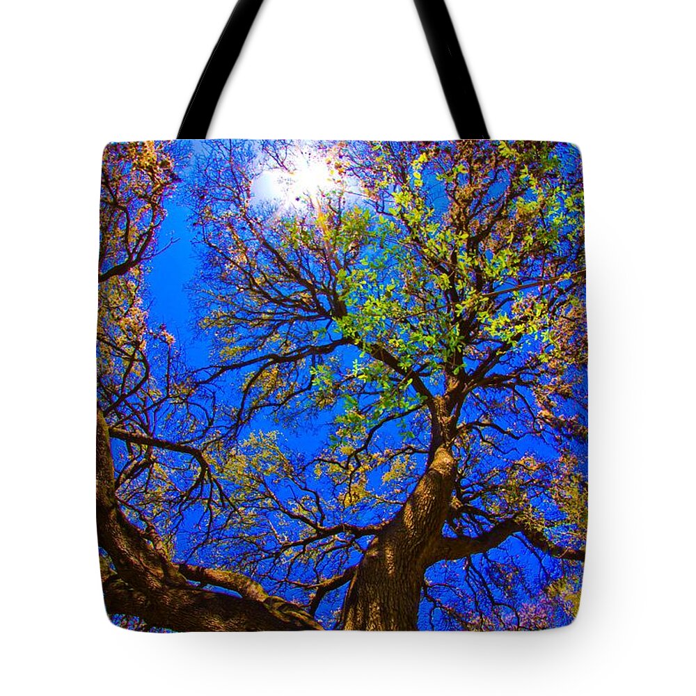 Michael Tidwell Photography Tote Bag featuring the photograph Spring Oak by Michael Tidwell