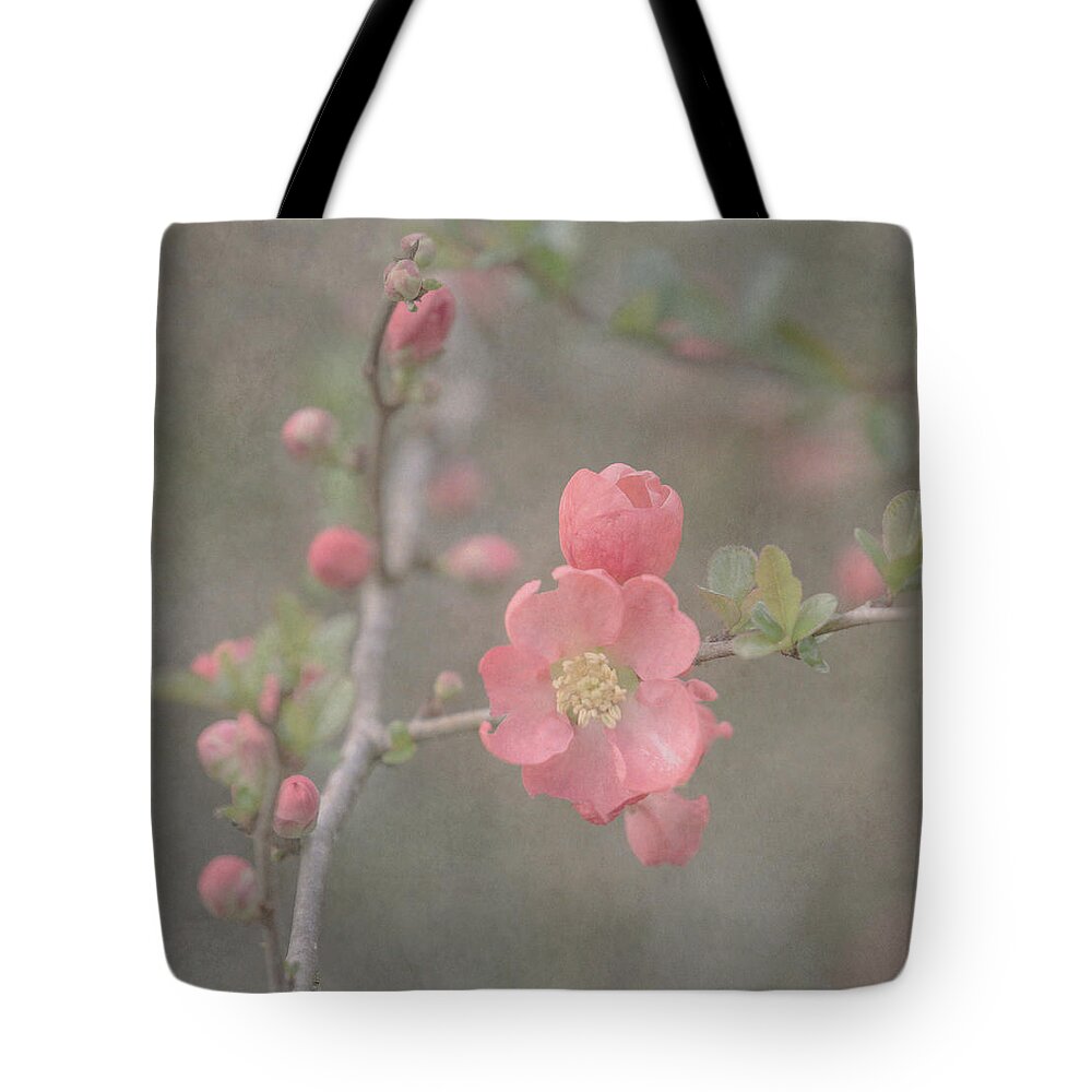 Flowering Quince Tote Bag featuring the photograph Spring Quince by Angie Vogel