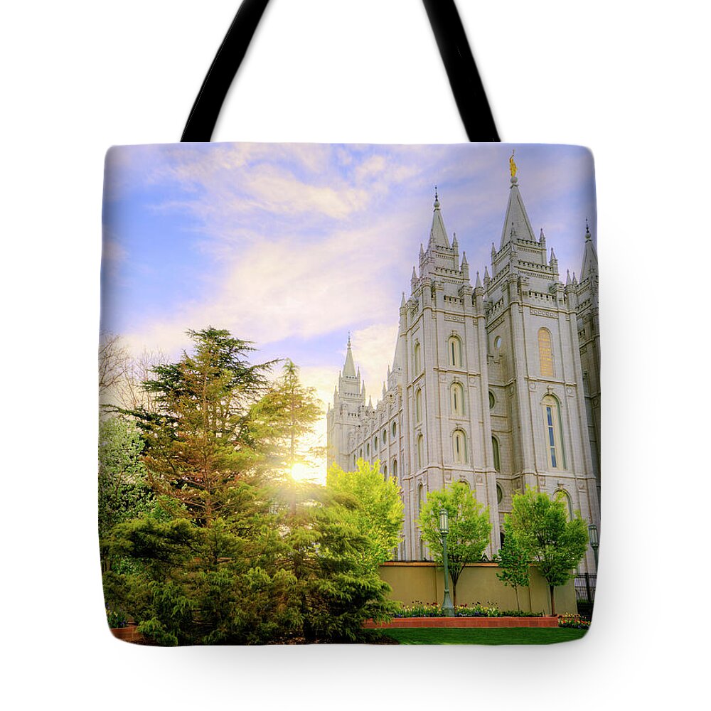 Salt Lake Tote Bag featuring the photograph Spring Rest by Chad Dutson
