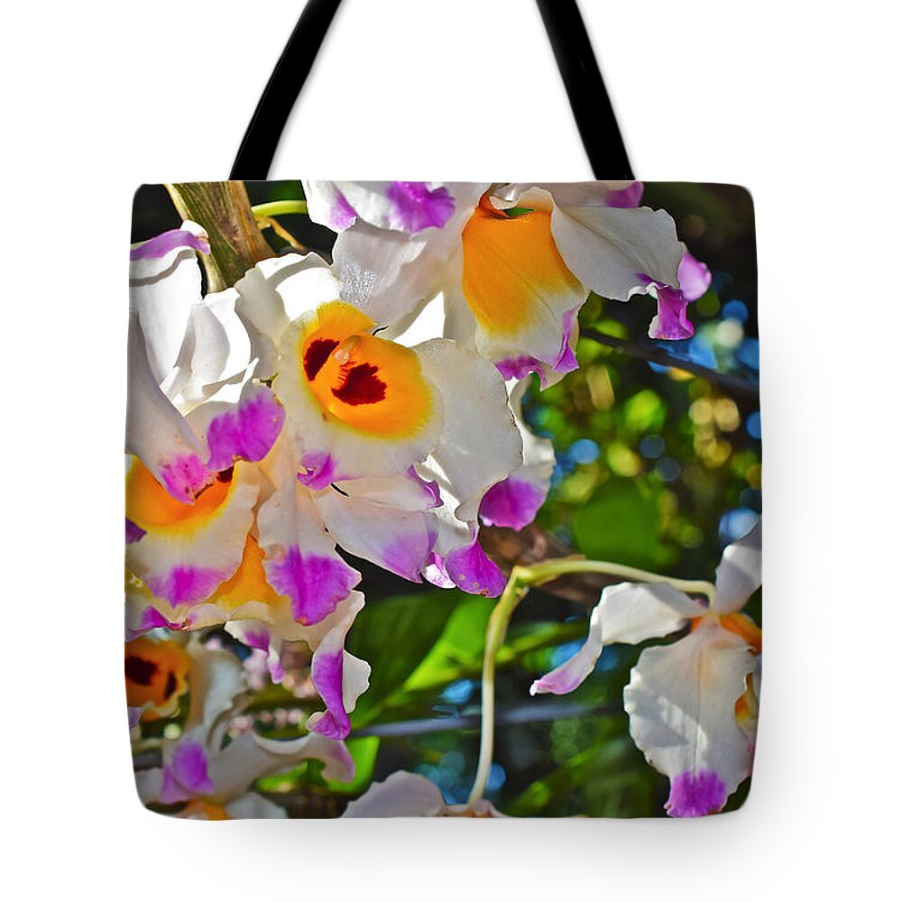 Orchid Tote Bag featuring the photograph Spring Show 15 Brazilian Orchid by Janis Senungetuk