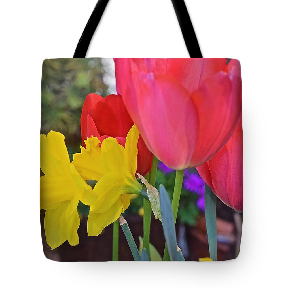 Tulips Tote Bag featuring the photograph Spring Show 16 Red Tulips and Daffodils by Janis Senungetuk