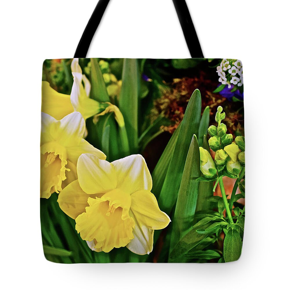 Daffodils Tote Bag featuring the photograph Spring Show 17 Narcissus 1 by Janis Senungetuk