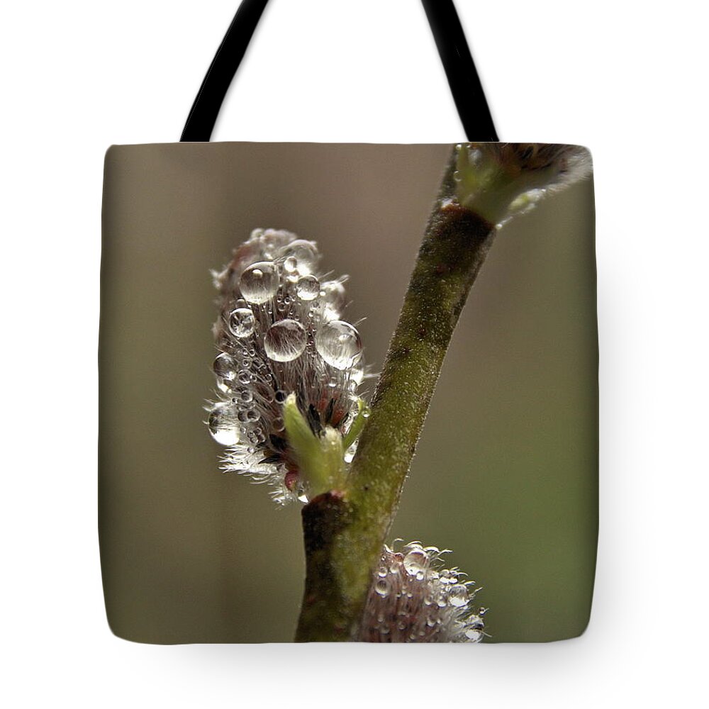 Flowers Tote Bag featuring the photograph Spring Showers by Harry Moulton