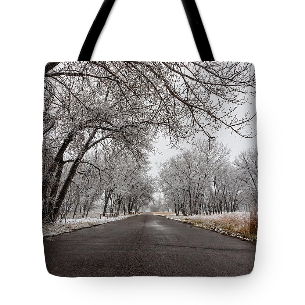 Snow Tote Bag featuring the photograph Spring Snow on the Plains by Tony Hake