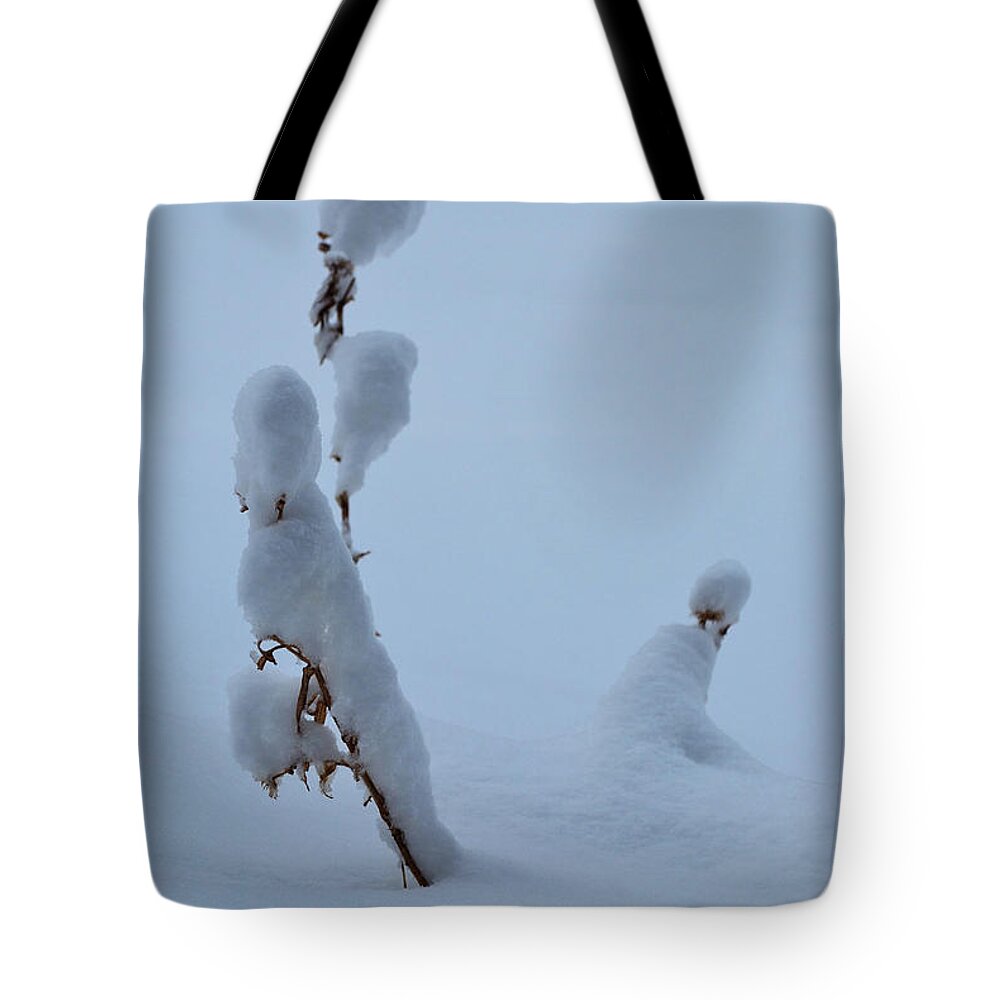 Landscape Tote Bag featuring the photograph Spring Snow by Ron Cline