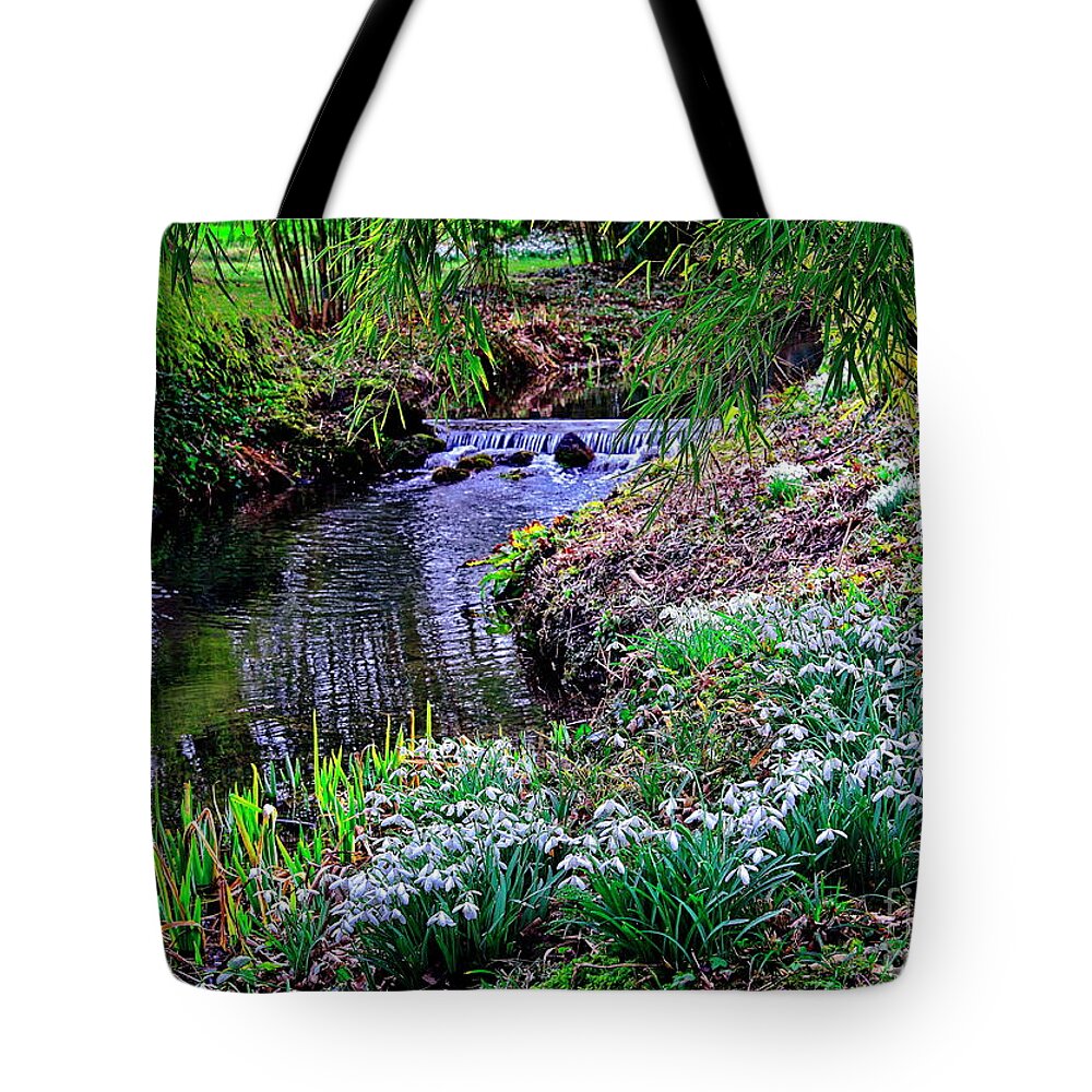 Snowdrops Tote Bag featuring the photograph Spring Snowdrops by Stream by Martyn Arnold