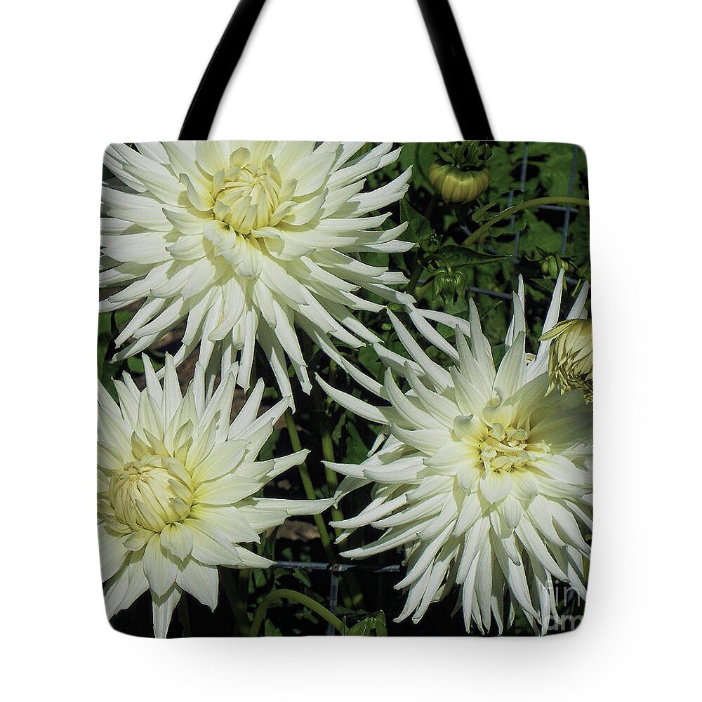 Flower Tote Bag featuring the photograph Spring Splendor by Joyce Creswell