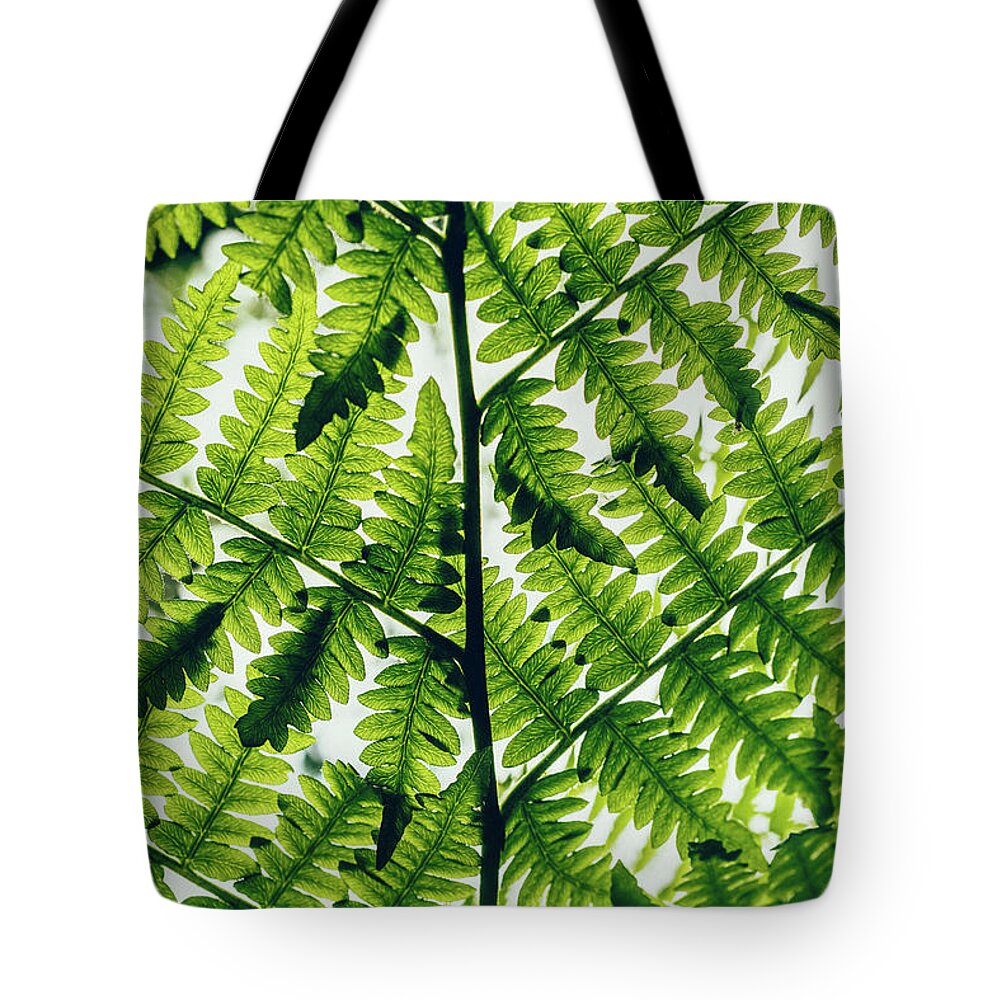 Nature Tote Bag featuring the photograph Spring Symmetry by Gene Garnace