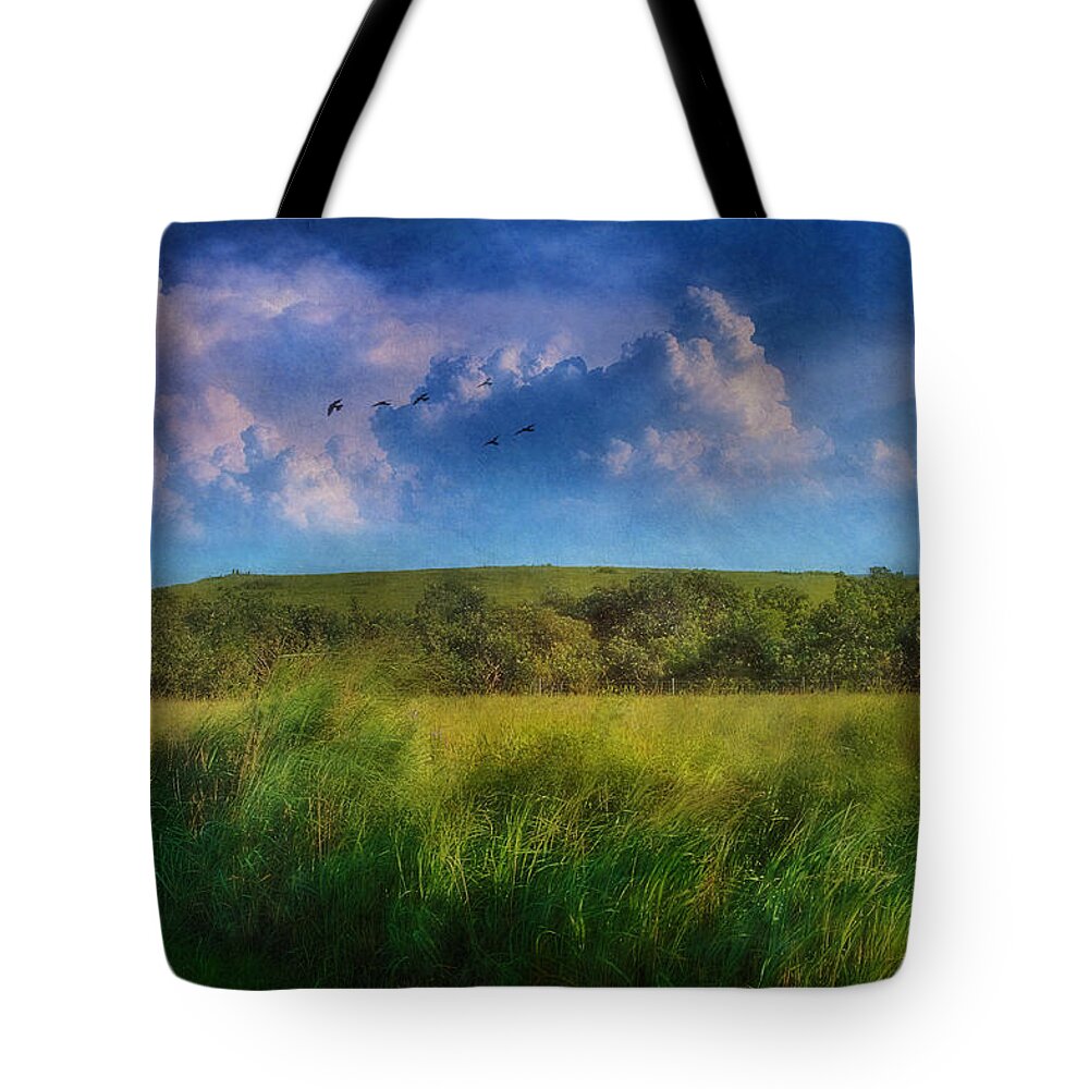 Thunderstorms Tote Bag featuring the photograph Spring Thunderstorm Stories by Anna Louise