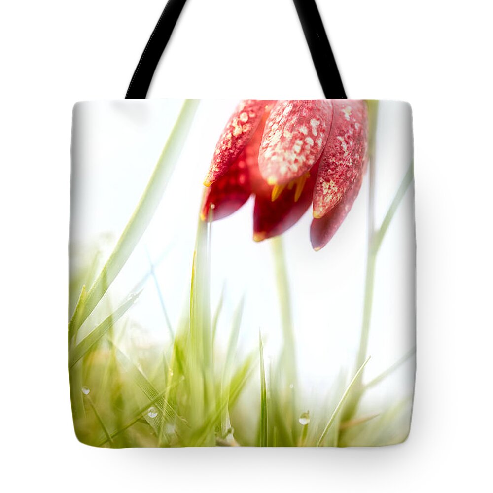 Sprin Flower Tote Bag featuring the photograph Spring Time Dreams by Dirk Ercken