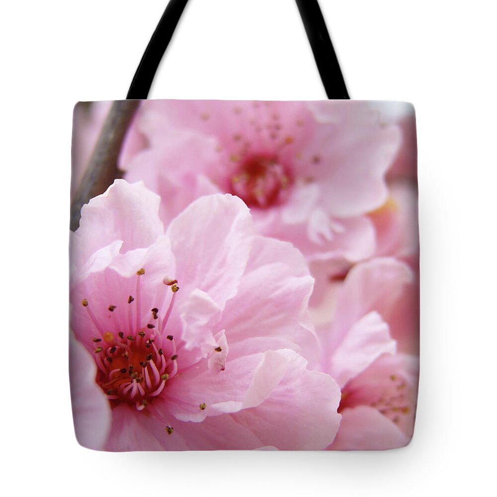 Colorful Tote Bag featuring the photograph Spring Tree Blossoms Pink Floral art prints Baslee Troutman by Patti Baslee
