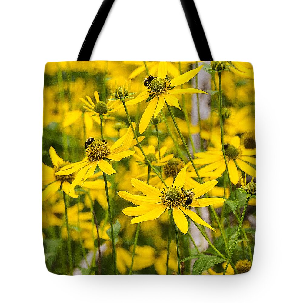 Landscape Tote Bag featuring the photograph Spring Wildflowers by Chuck Brown