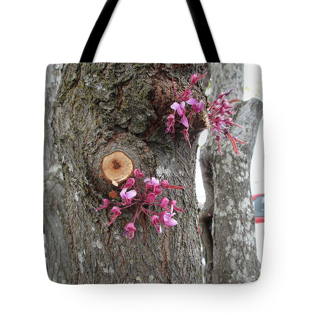 Spring Tote Bag featuring the photograph Spring will not be denied by Marie Neder