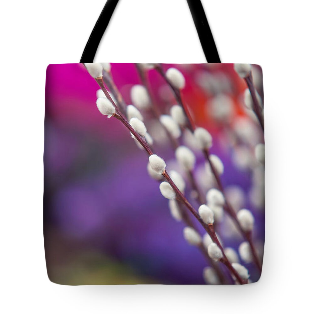 Jenny Rainbow Fine Art Photography Tote Bag featuring the photograph Spring willow branch of white furry catkins by Jenny Rainbow