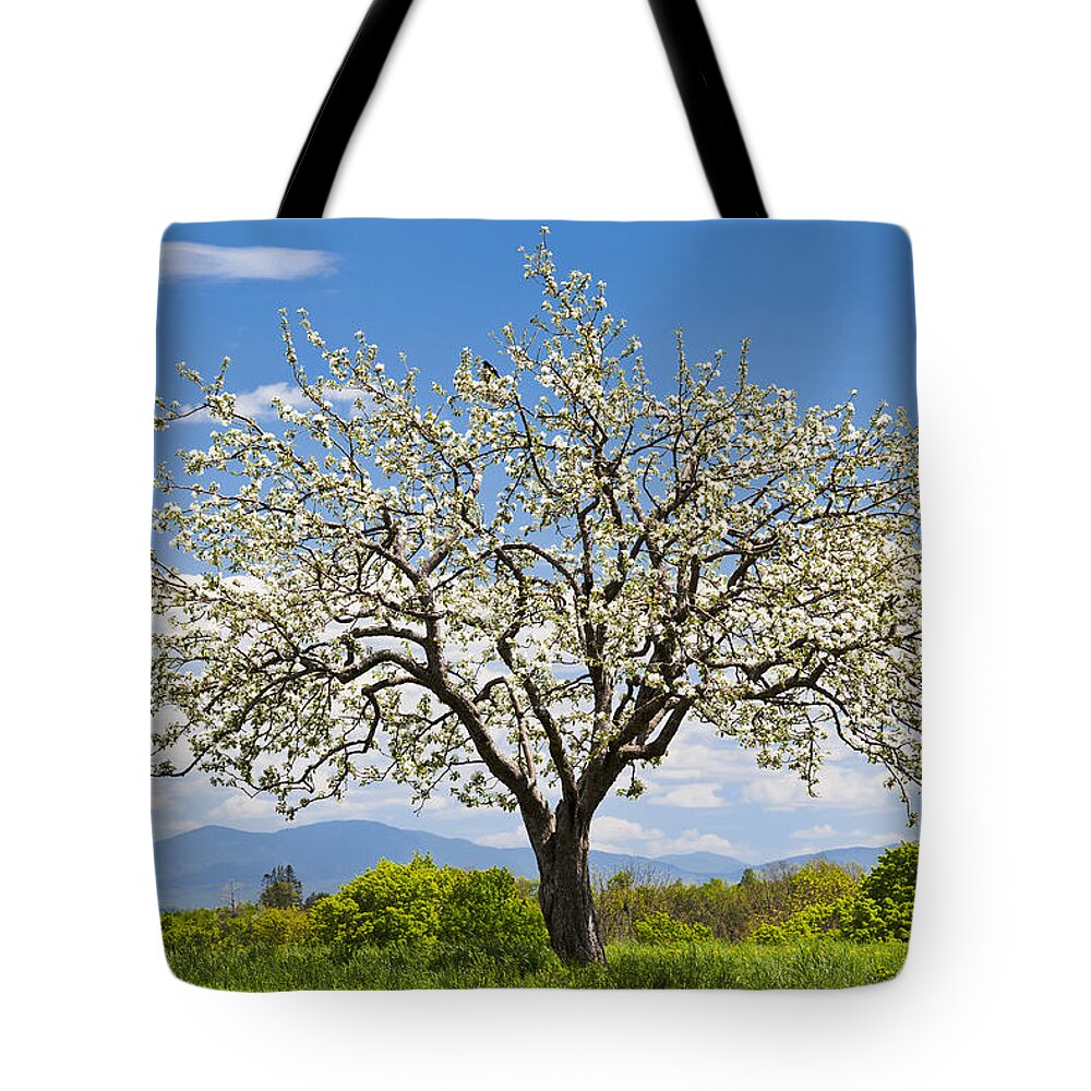 Spring Tote Bag featuring the photograph Springtime Apple Tree by Alan L Graham