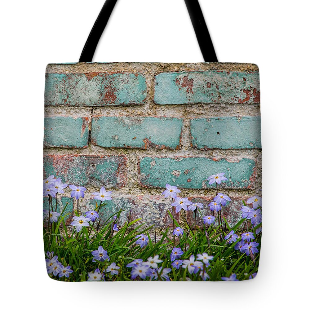 Phoebus Tote Bag featuring the photograph Springtime in Phoebus by Cyndi Goetcheus Sarfan