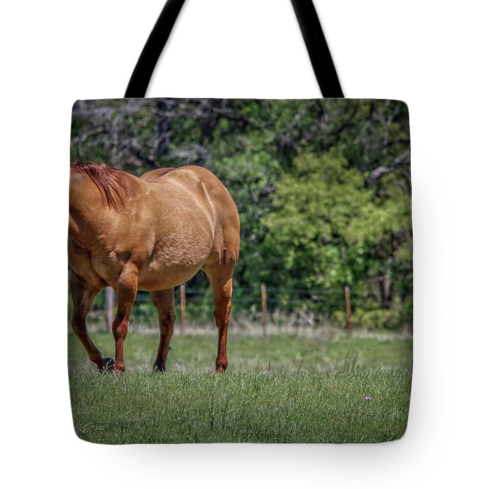 Horses Tote Bag featuring the photograph Springtime In Texas Fields by Elaine Malott