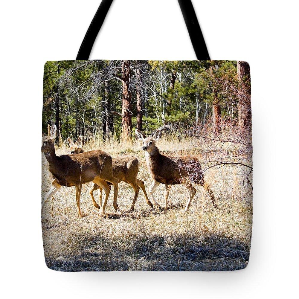 Deer Tote Bag featuring the photograph Springtime Mule Deer in the Pike National Forest by Steven Krull