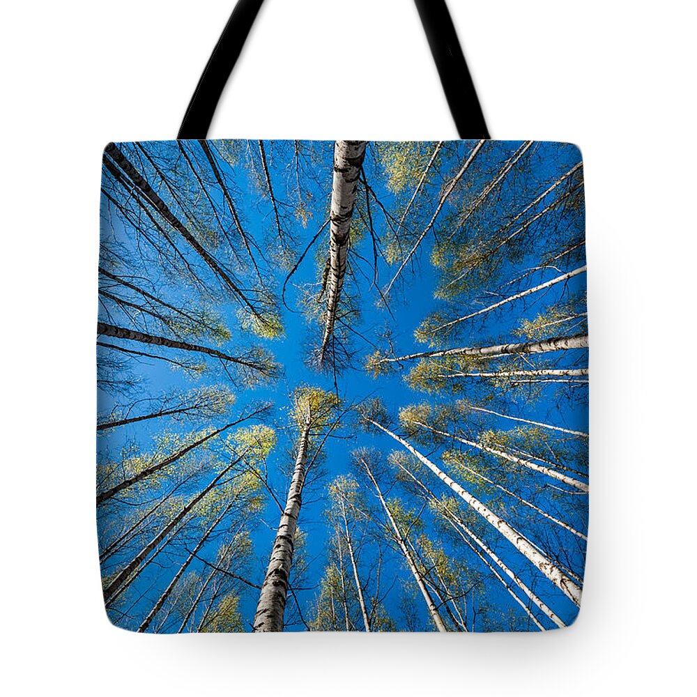 Springtime Tote Bag featuring the photograph Springtime by Torbjorn Swenelius
