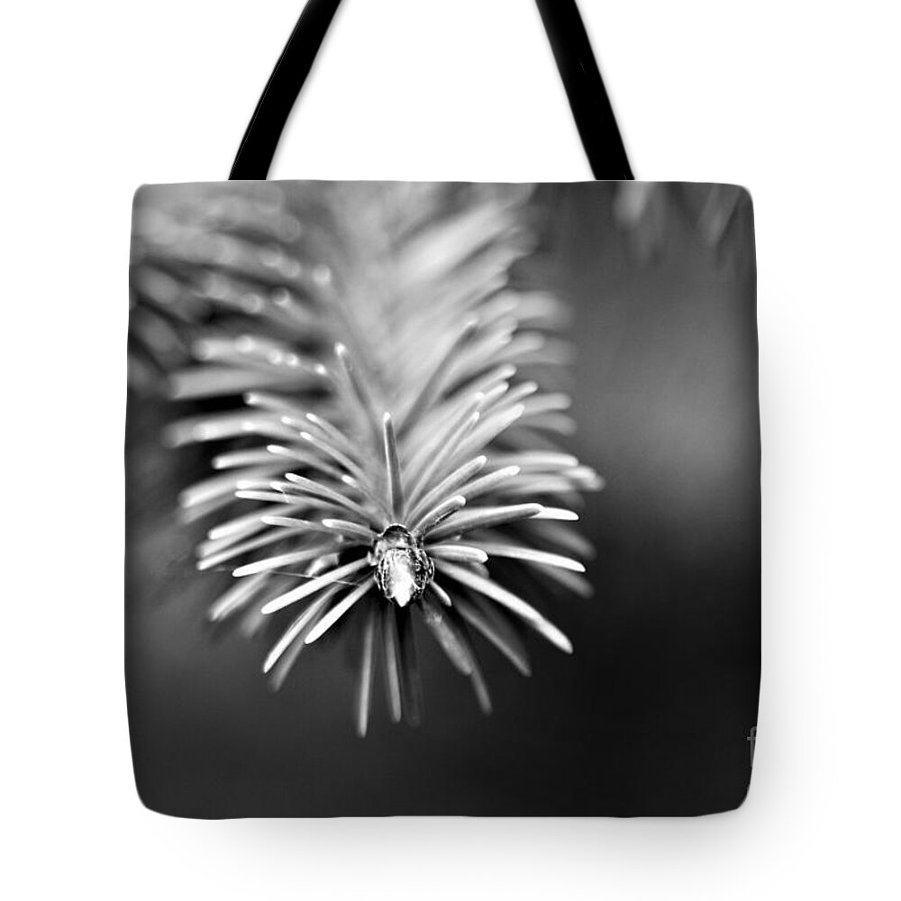 Black And White Tote Bag featuring the photograph Spruce Bud by Tracey Lee Cassin