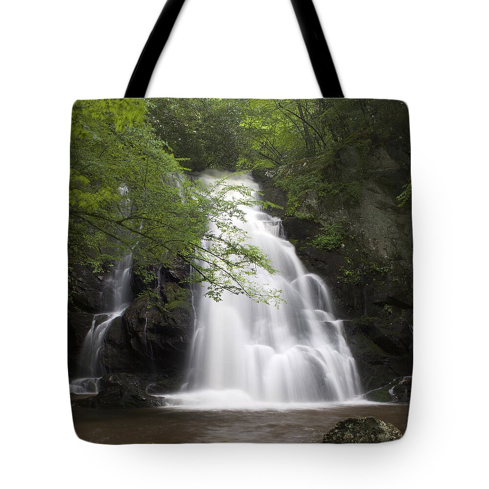 Art Prints Tote Bag featuring the photograph Spruce Flats Falls by Nunweiler Photography