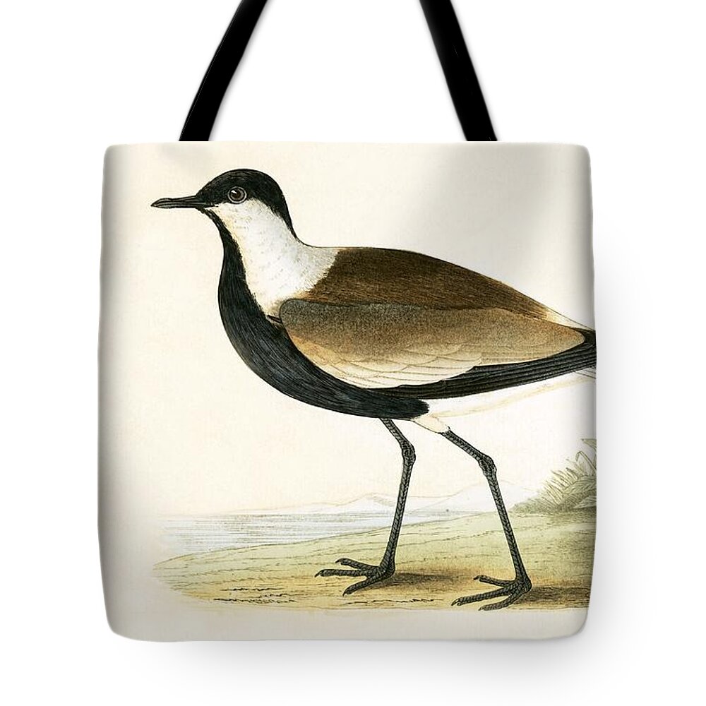 Bird Tote Bag featuring the painting Spur Winged Plover by English School