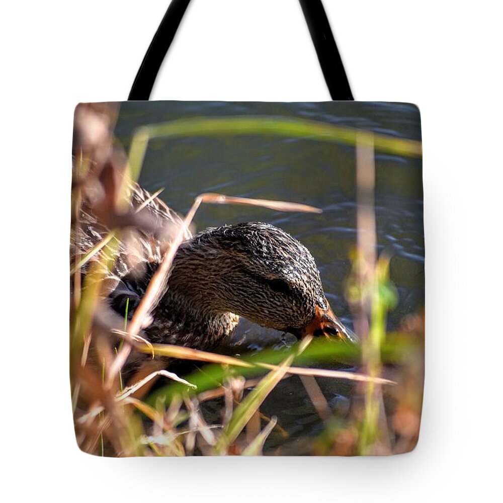 Duck Tote Bag featuring the photograph Square Duck by Michael Brungardt