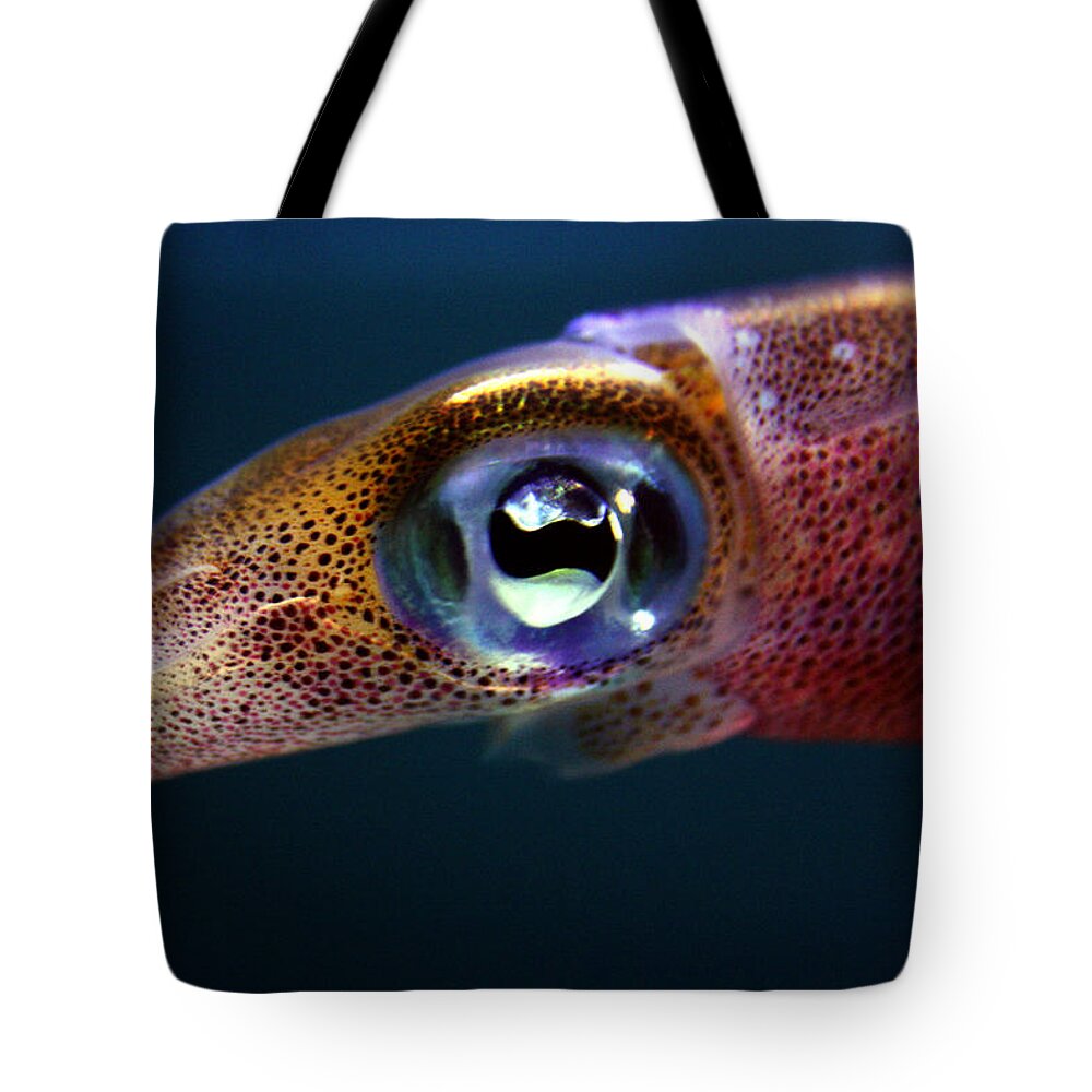 Waikiki Aquarium Tote Bag featuring the photograph Squid Eye by Jennifer Bright Burr