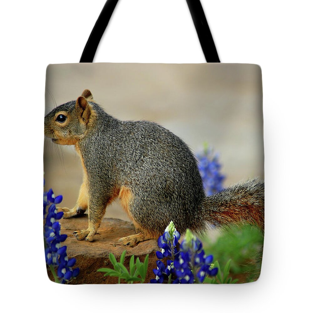 Squirrel Tote Bag featuring the photograph Squirrel in Texas Bluebonnets by Ted Keller