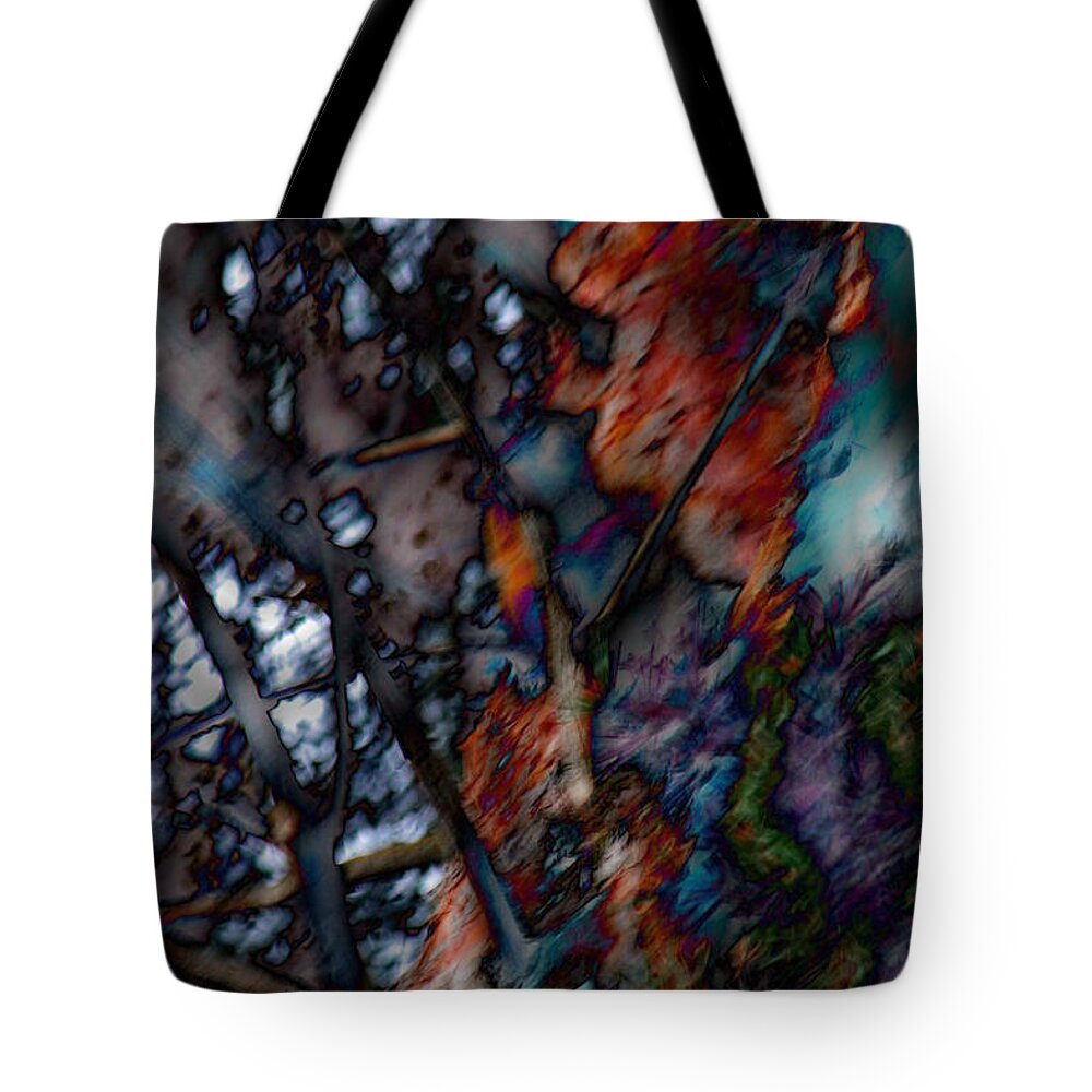 Squirrel Tote Bag featuring the photograph Squirrel by Jean Evans