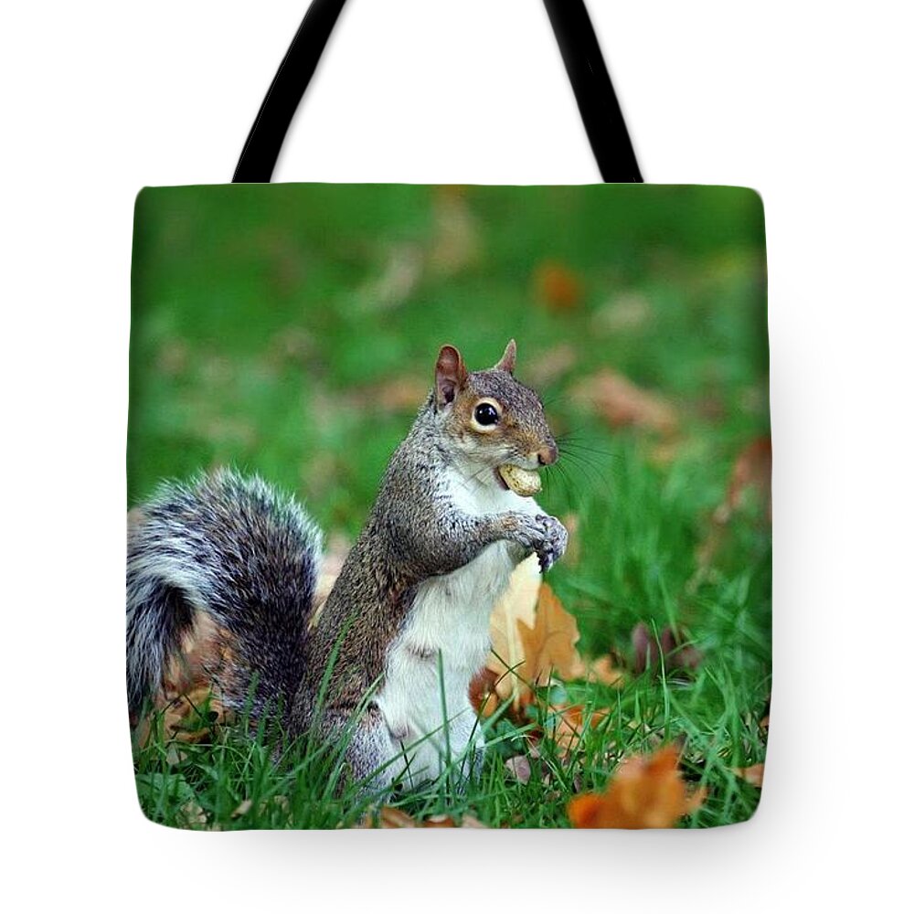 Squirrel Tote Bag featuring the digital art Squirrel by Maye Loeser