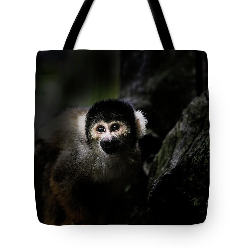 Squirrel Monkey Tote Bag featuring the photograph Squirrel monkey by Sheila Smart Fine Art Photography