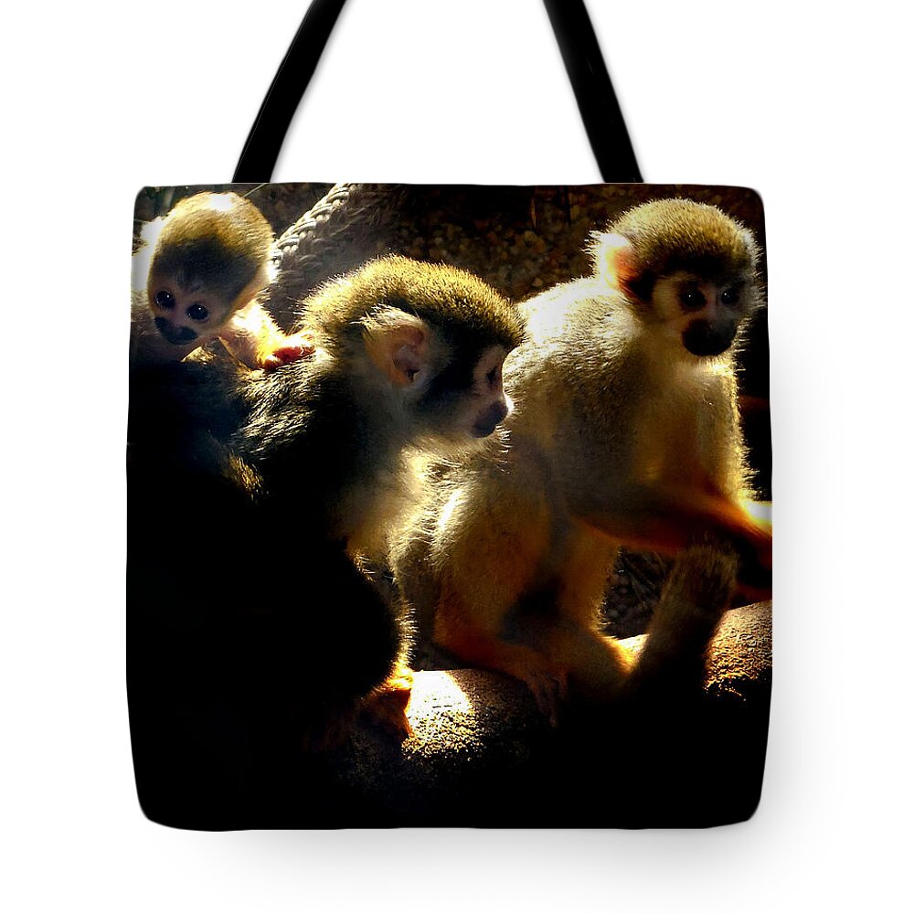 Squirrel Monkey Tote Bag featuring the photograph Squirrel Monkey by Captain Debbie Ritter
