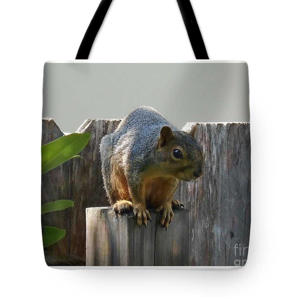 Small Squirrel Tote Bag featuring the photograph Squirrel on Post by Felipe Adan Lerma