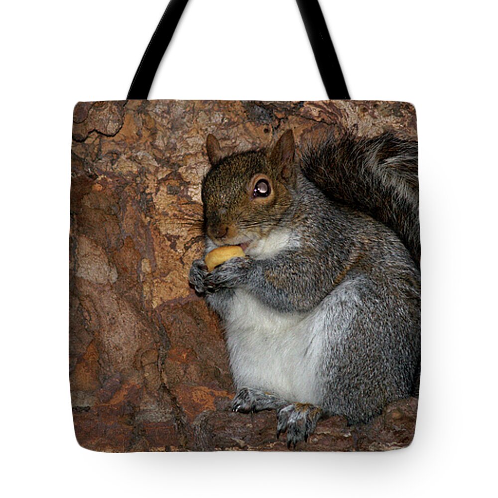 Squirrell Tote Bag featuring the photograph Squirrell by Pedro Cardona Llambias