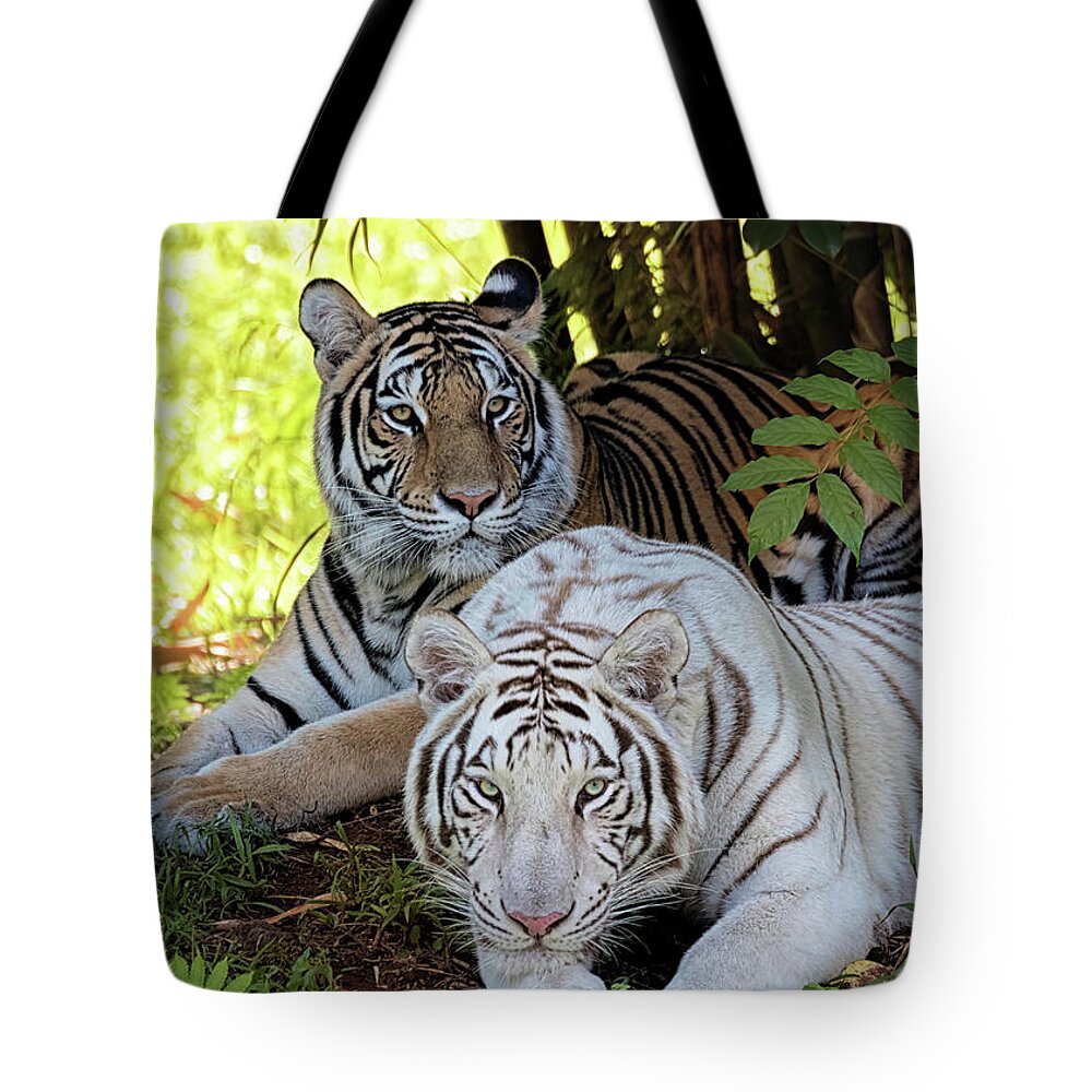 Bengal Tigers Tote Bag featuring the photograph Sriracha and Tzatziki by Susan Rissi Tregoning