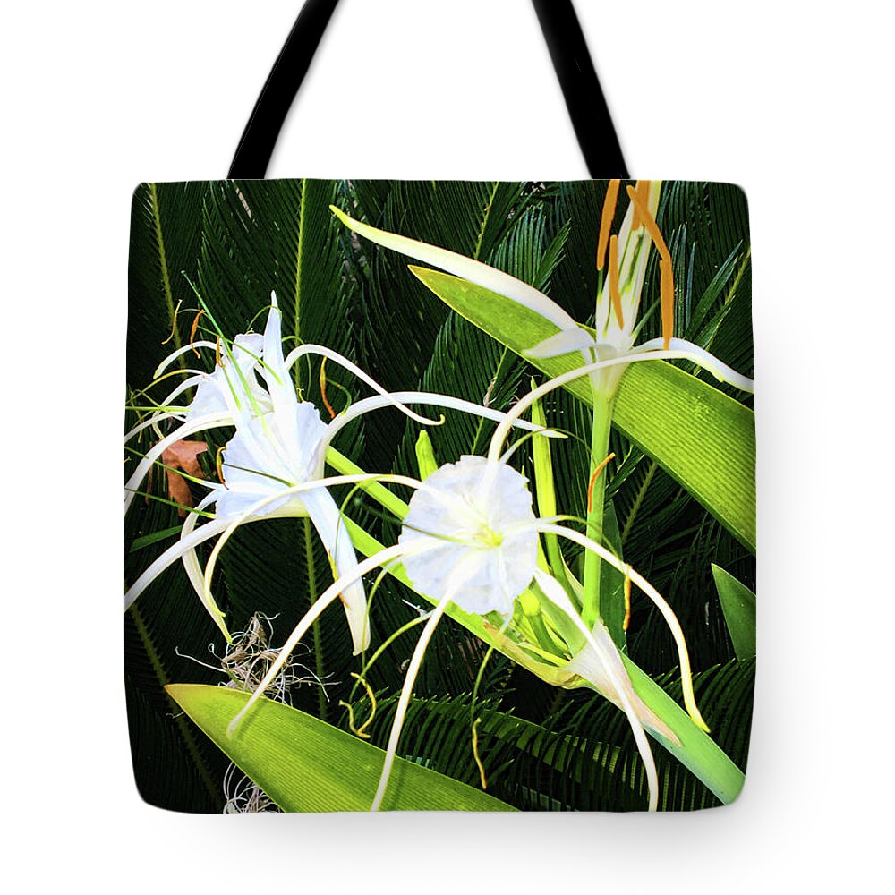 Spider Flowers Tote Bag featuring the photograph St. Aandrews Spider Flower Family by Daniel Hebard