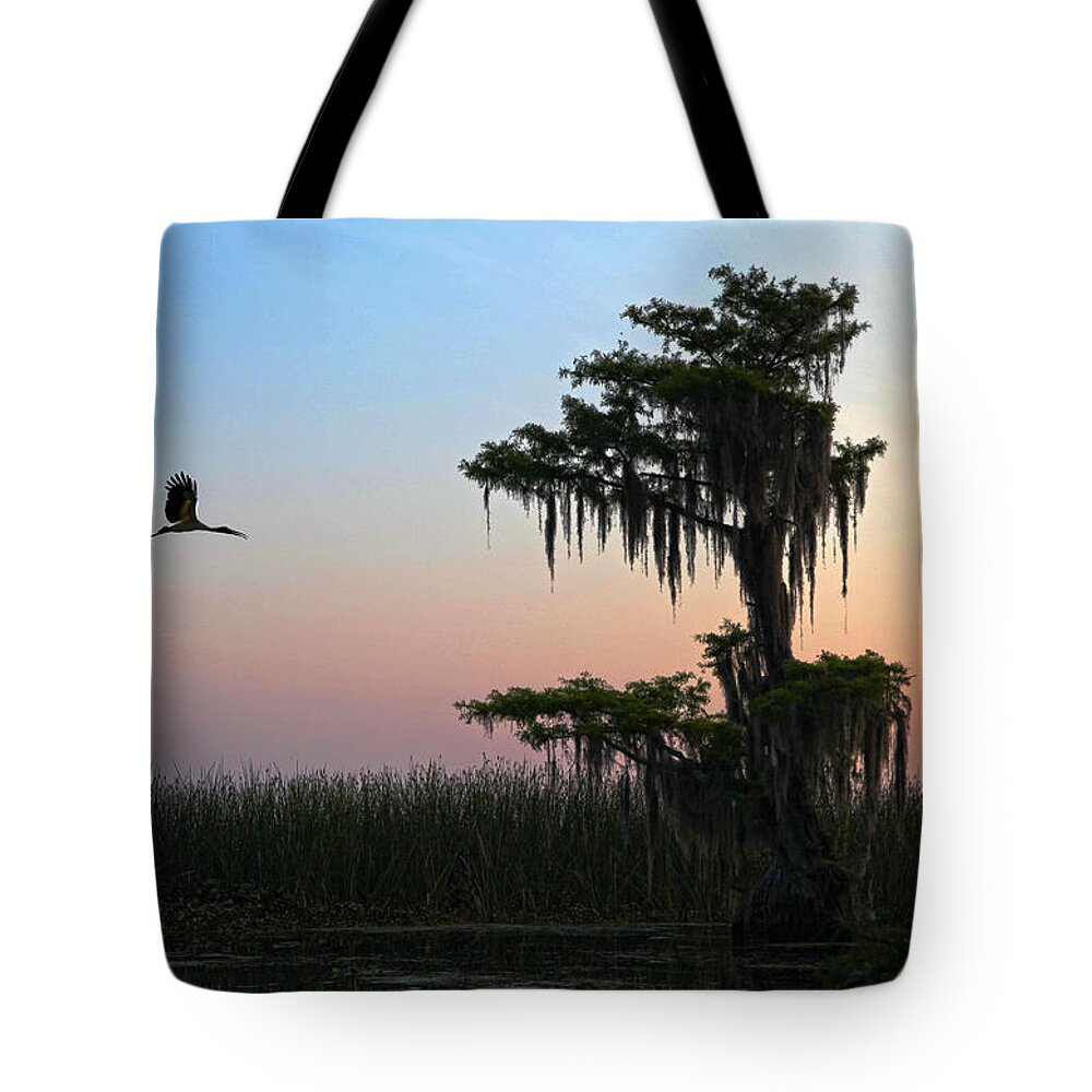 Tree Tote Bag featuring the photograph St Augustine Morning by Robert Och